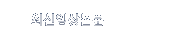 �ֽ��ӻ����